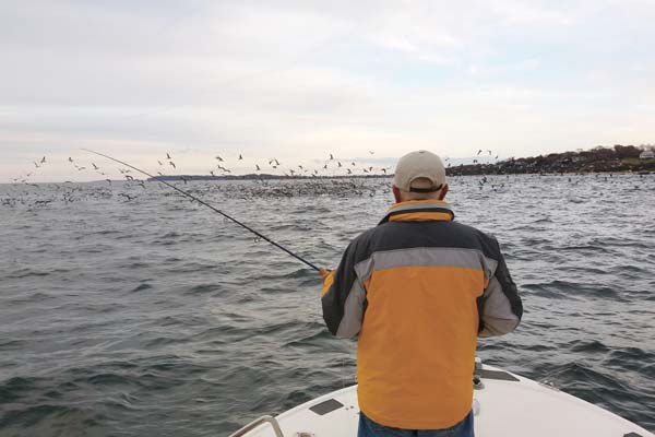 Stay at the right speed for finicky striped bass feeding on bay anchovies.