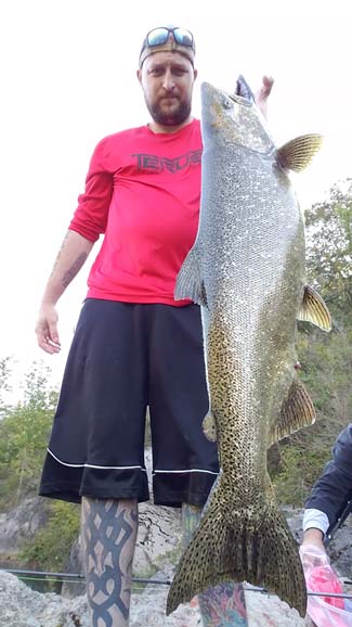 Rich Pisa of Kenmore