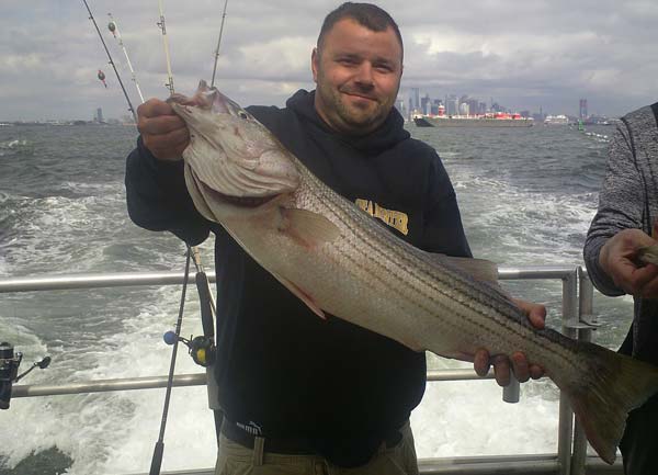Sea Hunter striper