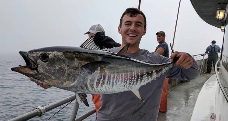 Big Jamaica bluefin