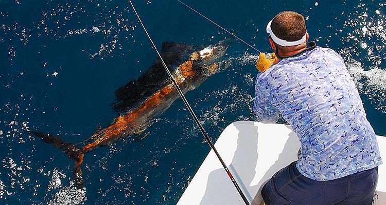 Savvy mates know when to go for the leader