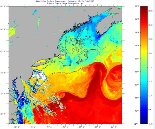 NOAA surface temperature chart