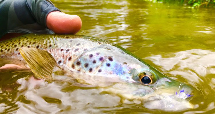 In PA, fishing doesn&rsquo;t end in May