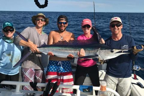 white marlin