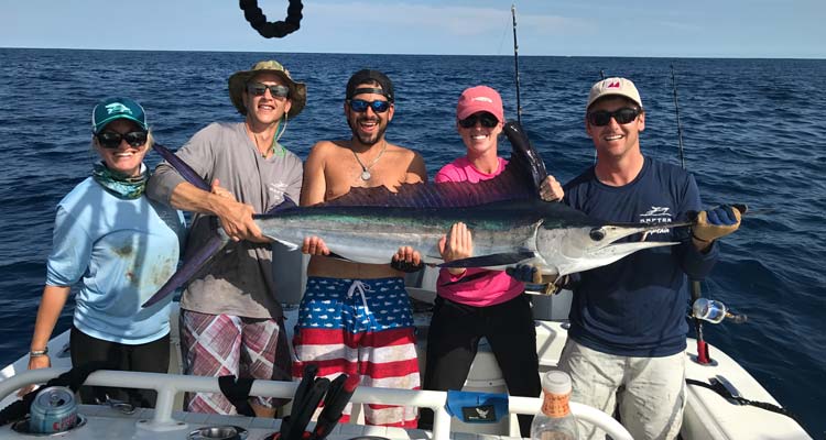 white marlin