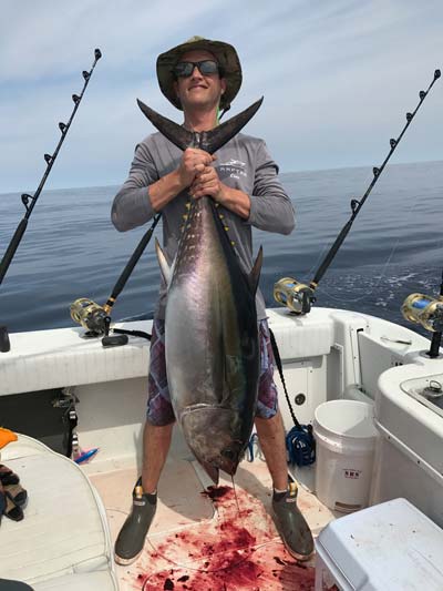 a medium sized yellowfin
