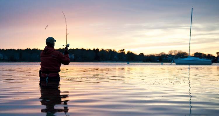 Long Island's Harbor Run
