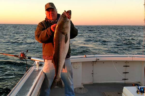 big striper caught aboard Parker Pete's Sportfishing