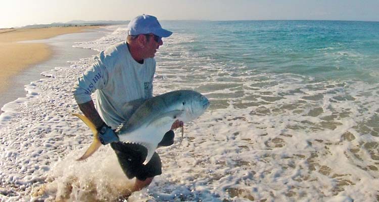 Big crevalle jacks fight like the devil