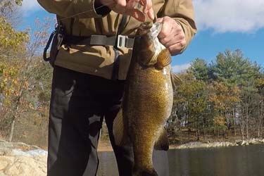 November smallmouth