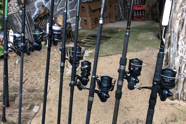Use reels with strong drags for roosters and jacks.