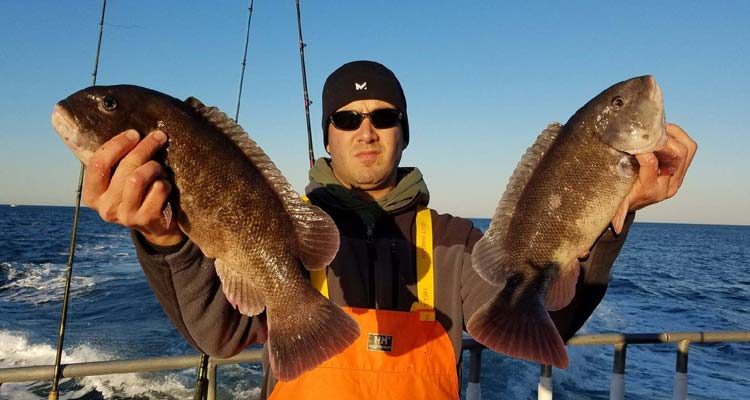 A couple of nice tog caught on Wednesday's trip aboard the Ocean Explorer.