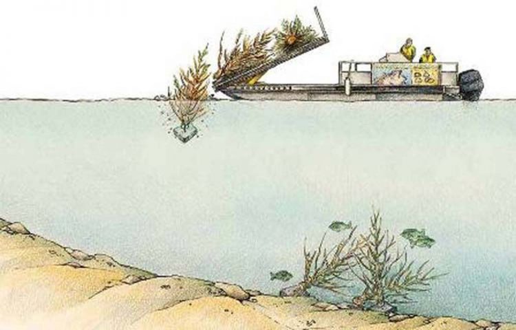 Recycle your Christmas tree by donating it to a local conservation department to create a habitat for fish and aquatic wildlife.