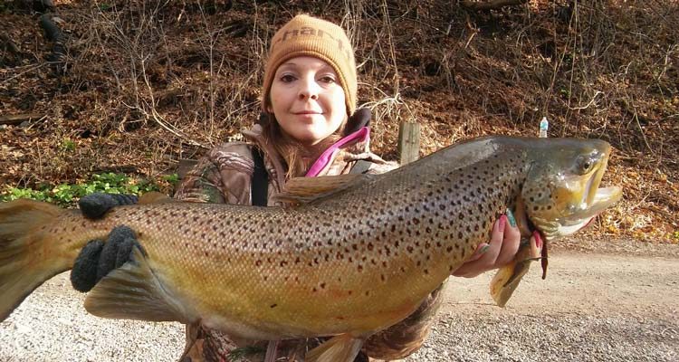 Buffy Frank brown trout