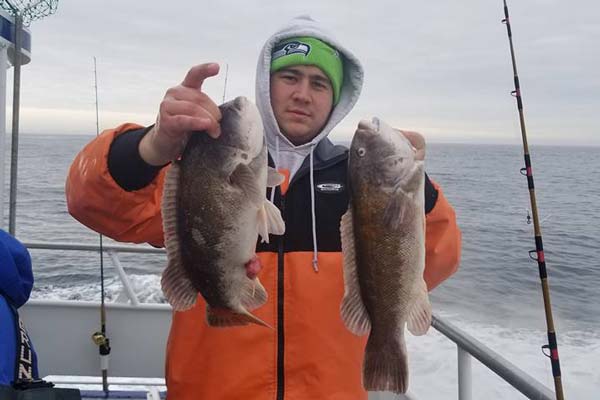 Norma K III blackfish