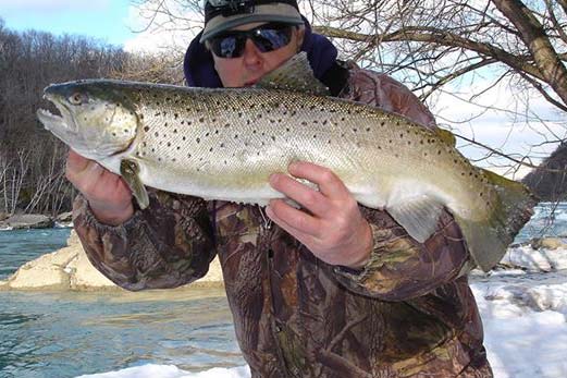 Mike Rzucidlo of Niagara Falls