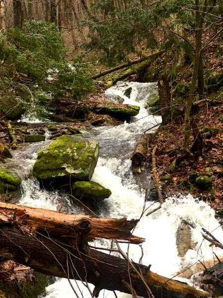 water fall in northern Clinton County, Huff Run