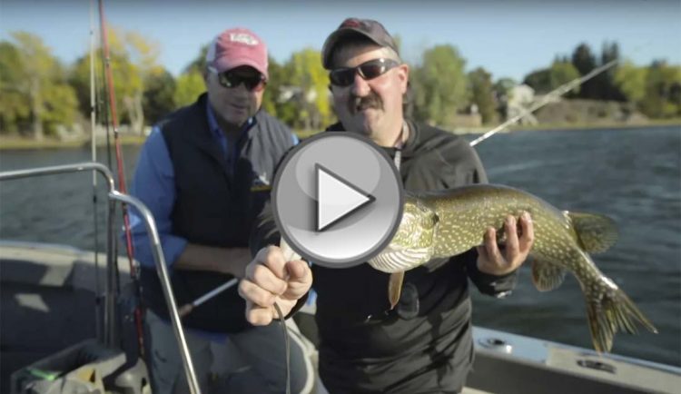 Lake Champlain Pike and Bass