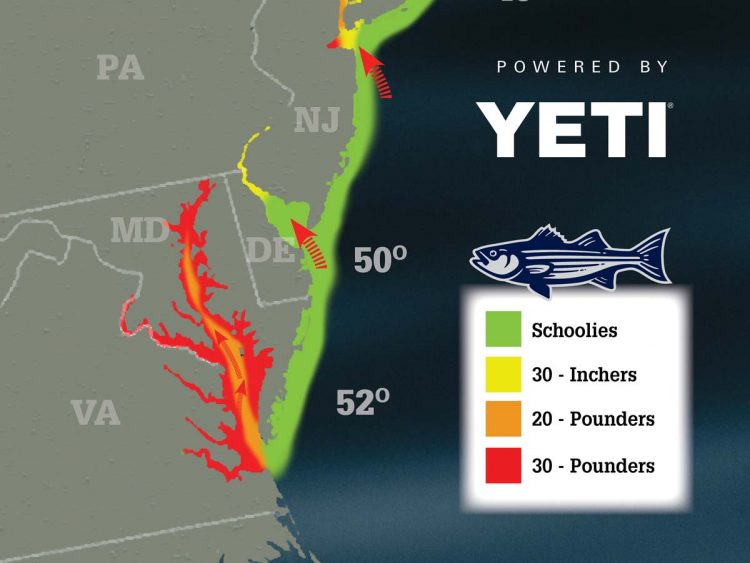 Striper Migration Map April 27, 2018