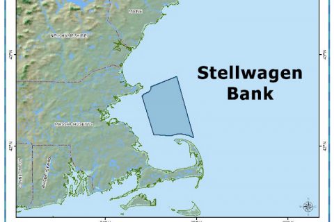 Recreational Fishing Grants Program Accepting Proposals