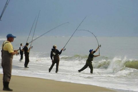 Governor's Surf Fishing Tournament