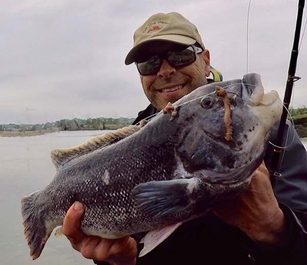 &ldquo;White chins&rdquo; are transitioning