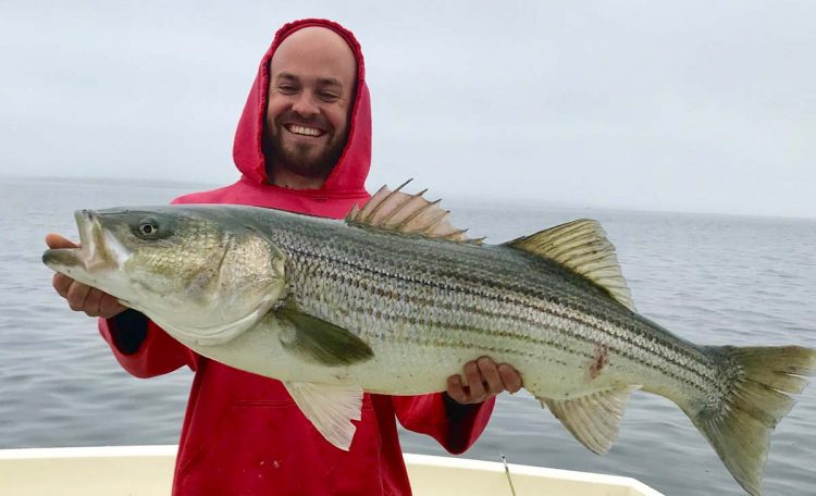 Bristol Striper