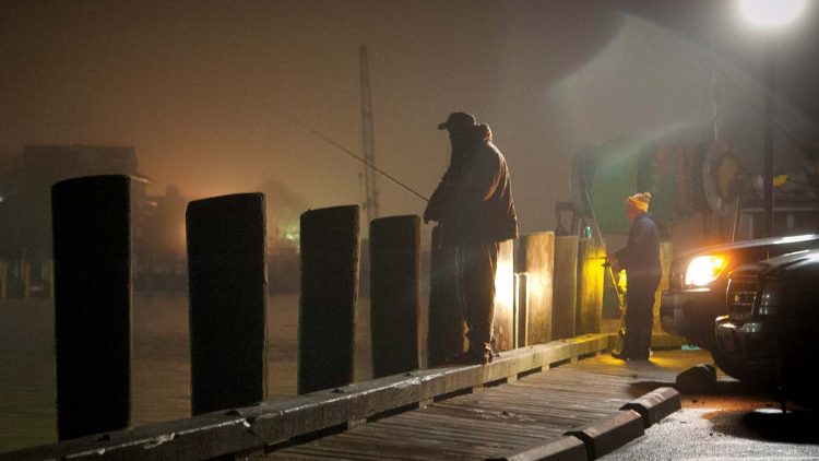 Docks with bright lights near deep water are likely spots to encounter early-season squid.