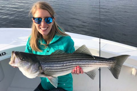 striped bass fishing charter