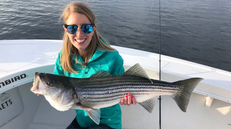 Reel Cast Charters striped bass