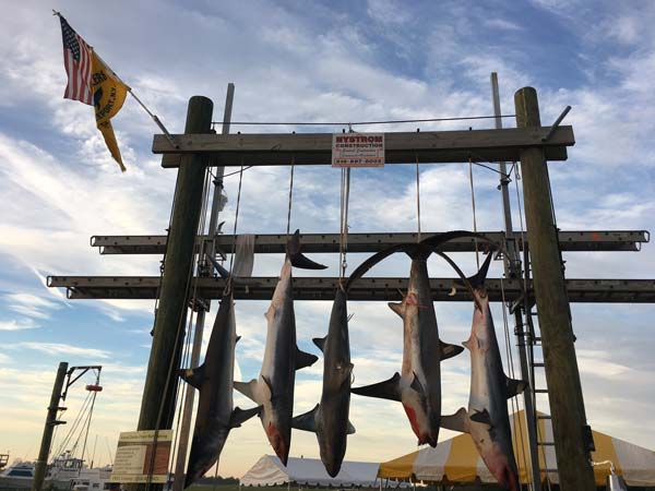 Freeport Hudson Anglers top five finishers