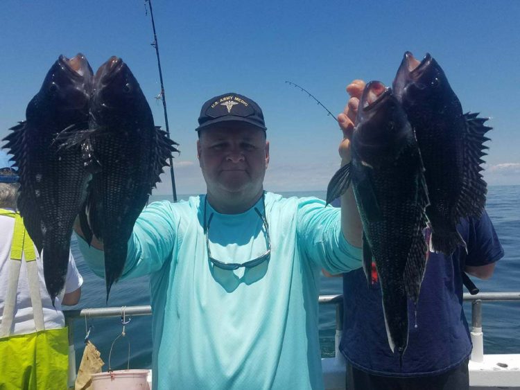 Ocean Explorer black sea bass