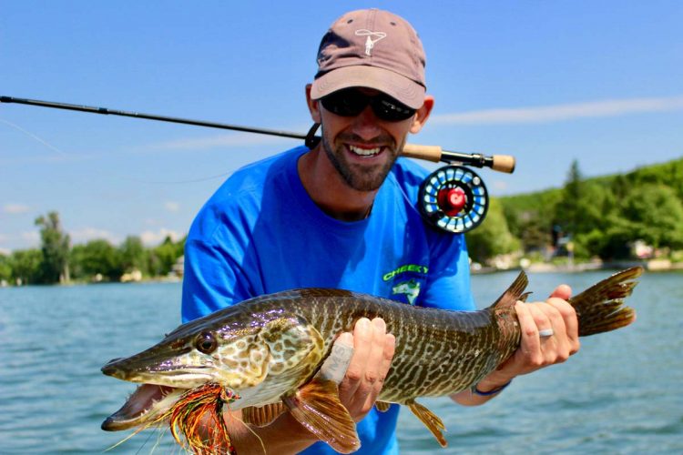Tiger musky on a fly In The Finger Lakes. 