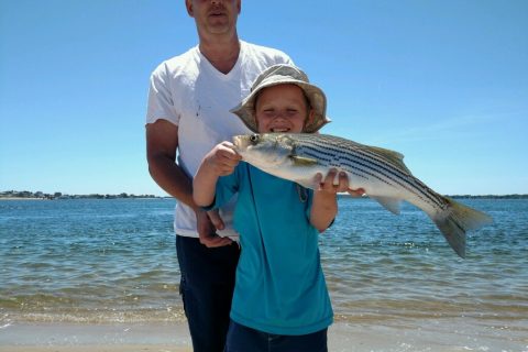 Massachusetts, Connecticut, and Virginia Call for Swift Action on Striped Bass