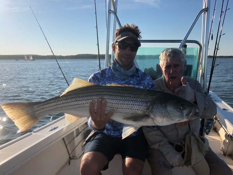 Mike Roy CT striped bass