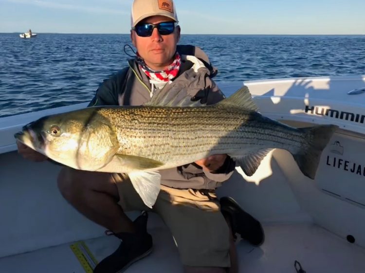 A nice bass taken on a live bunker aboard Reel Cast Charters.