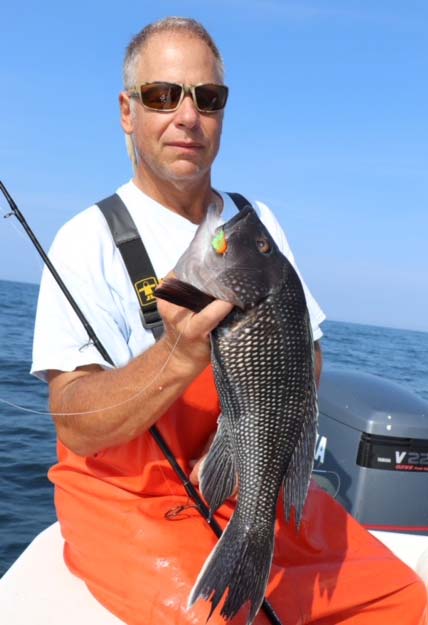 Captain Jason Colby black sea bass