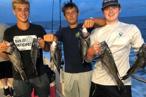 Golden Eagle black sea bass