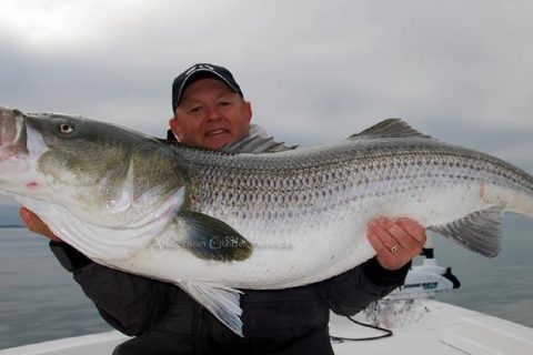 Striper Captains Share Their Personal Bests