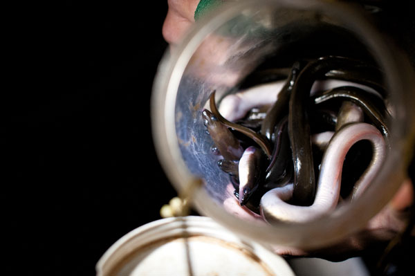 Video How To: Make Your Own Eel Tote