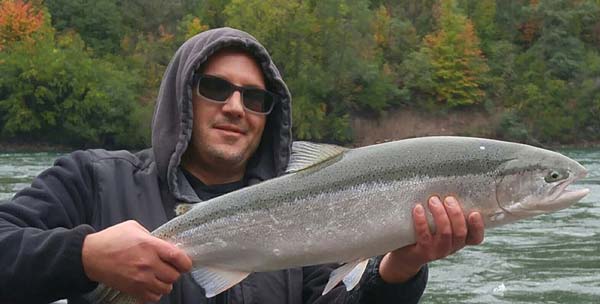 Chris Mongielo steelhead