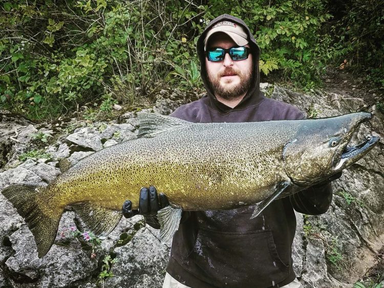 Rich Pisa king salmon