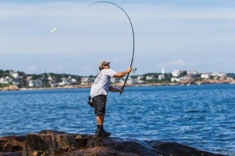 Stripers On The Rocks