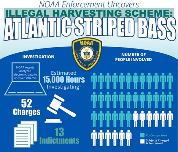 NOAA striper investigation