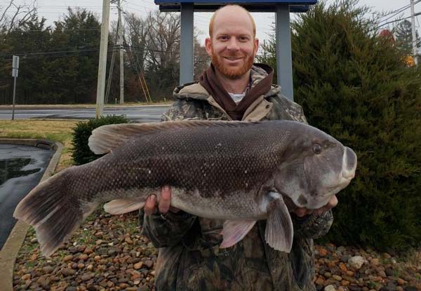 Peace Token blackfish