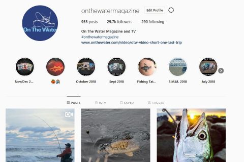 OTW&rsquo;s Most Popular Instagram Posts of 2018