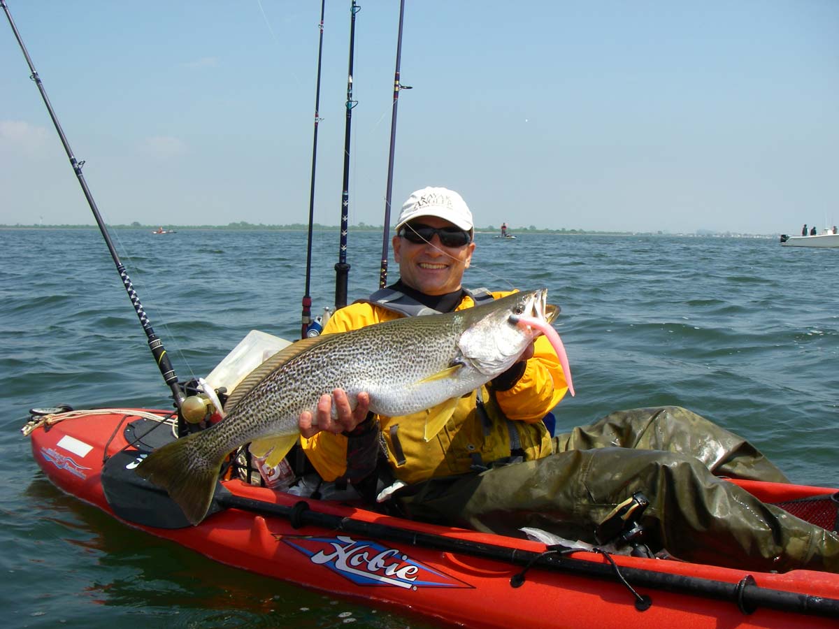 How to Catch Jersey Bay Weakfish (Top Lures & Tactics)
