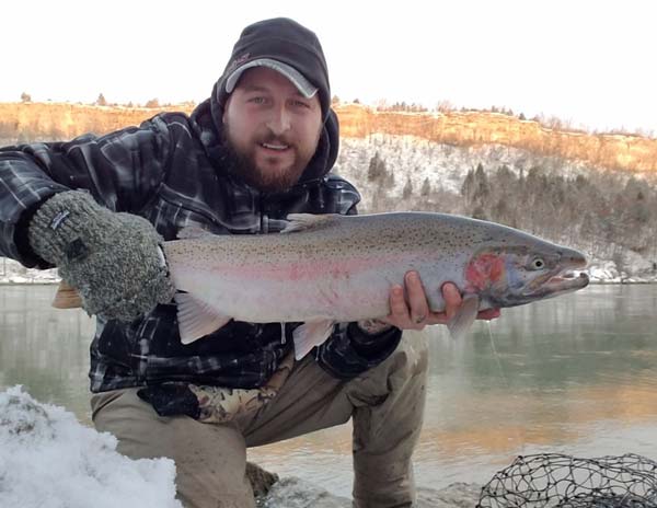 Rich Pisa steelhead
