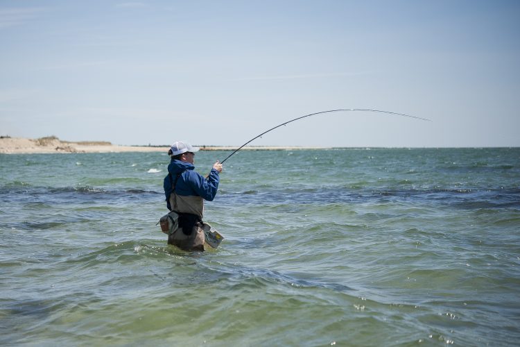 Fly Fishing for Surf Stripers - On The Water