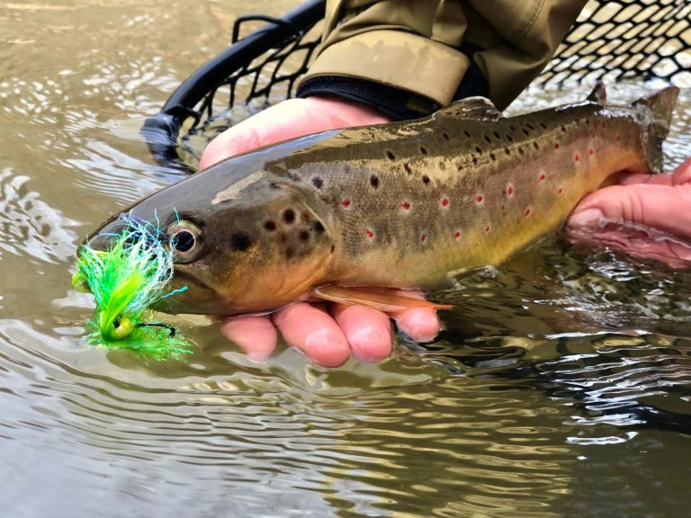 Pennsylvania Fishing Report September 29, 2022 On The Water